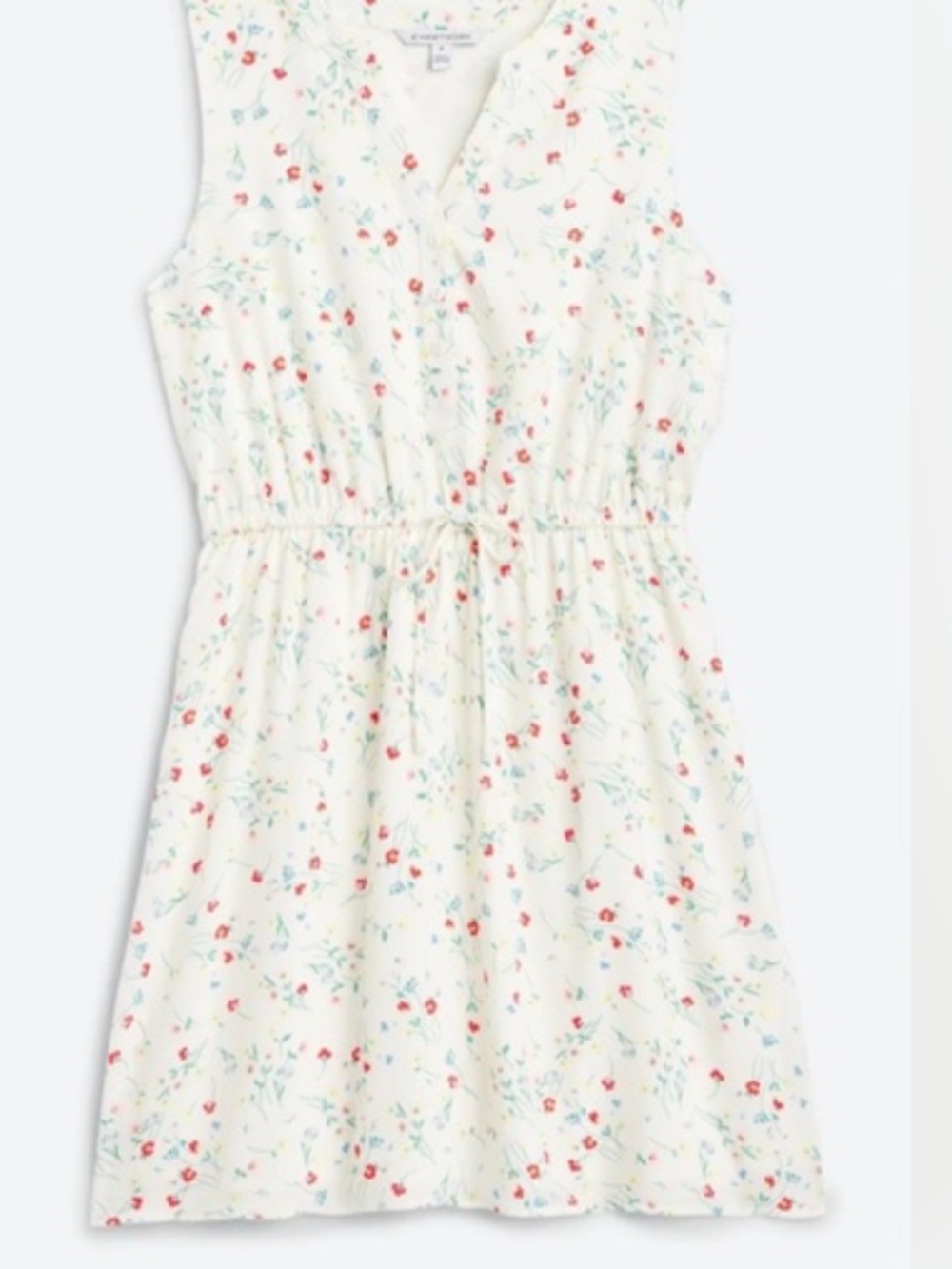 41 Hawthorn Cream Floral Sleeveless Tie-Waist Mini Dress